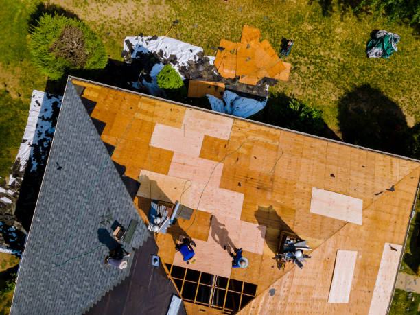 Best Storm Damage Roof Repair  in Midlothian, VA